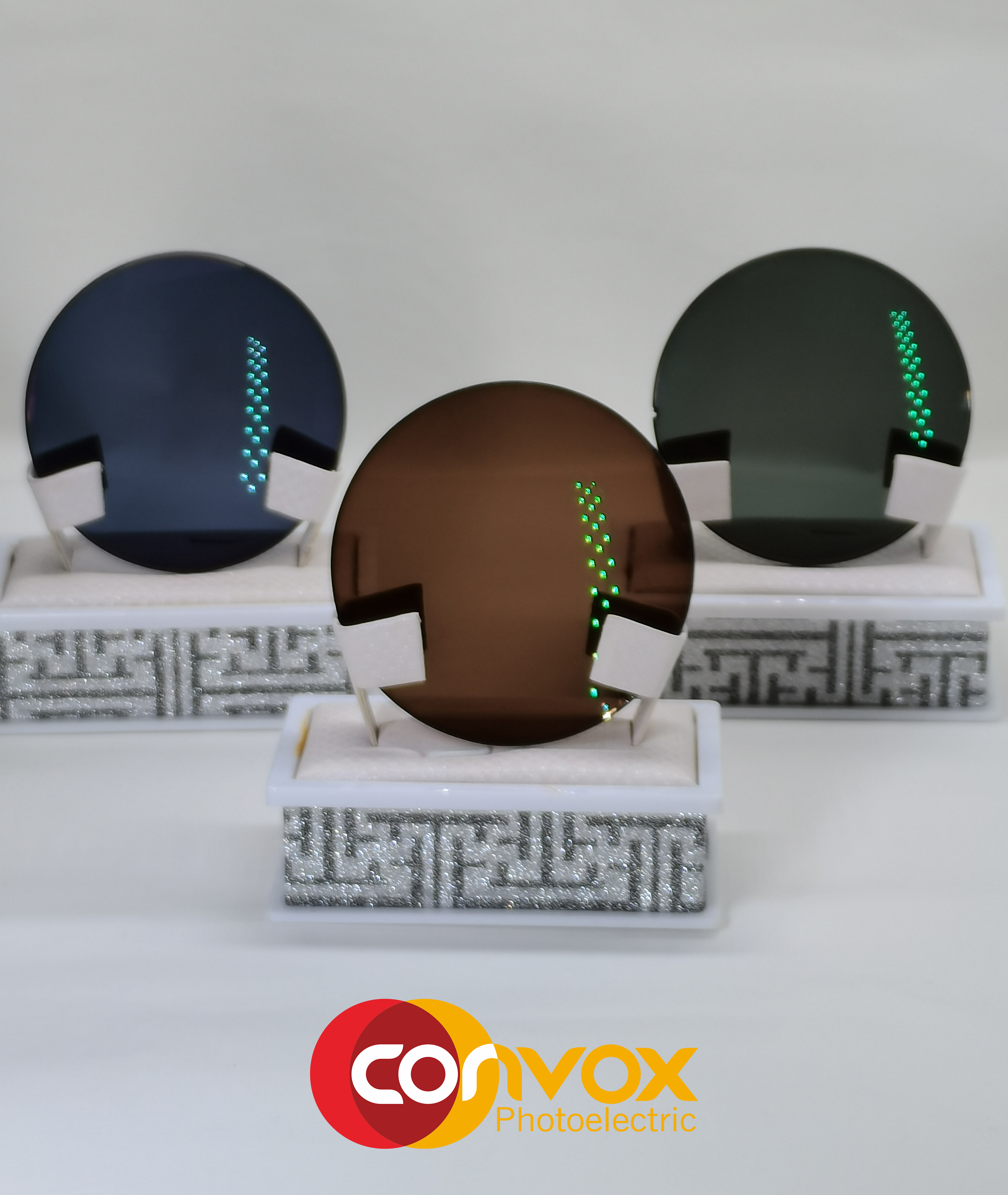 CONVOX 染色2